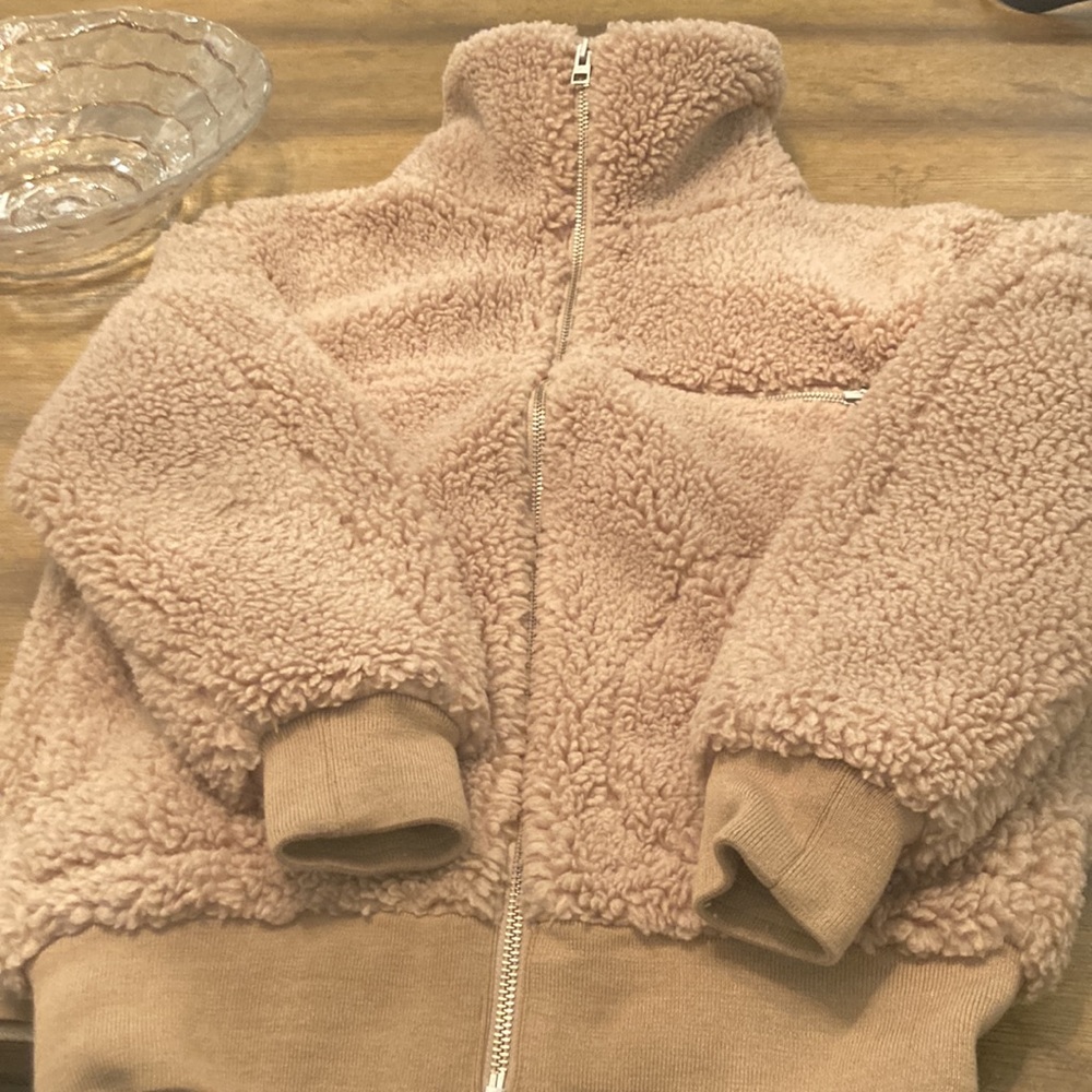 Wilfred Free/ Aritzia  teddy coat